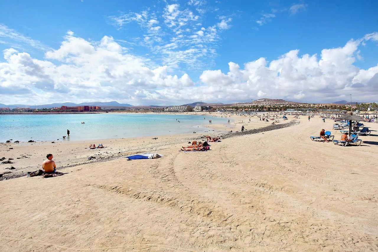 Sol Y Mar Caleta De Fusteヴィラ